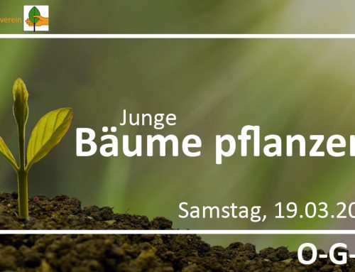 (Junge) Bäume pflanzen: Heute werden Bäume gepflanzt! – 19.03.2022