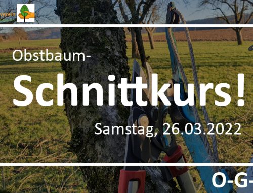 Obstbaum-Schnittkurs am 26.03.2022
