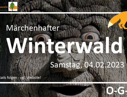 Märchenhafter Winterwald – 04.02.2023