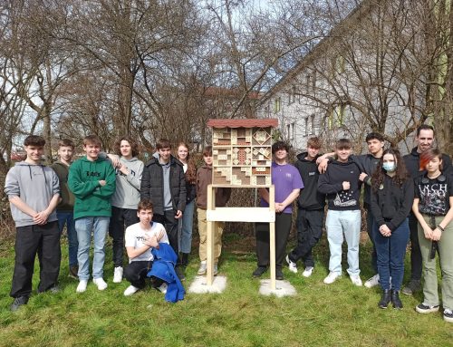 Schüler des Taus-Gymnasiums bauen Insektenhotel
